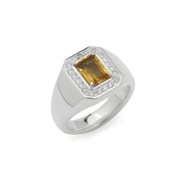 OCTAGON D.O. SURROUND RING